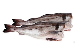 Пикша атл.без головы 0,5-1 кг с/м