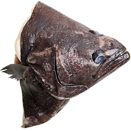 Головы палтуса с/м